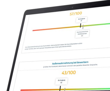 Umfrage Plugin für WordPress - Projekt Vorschau
