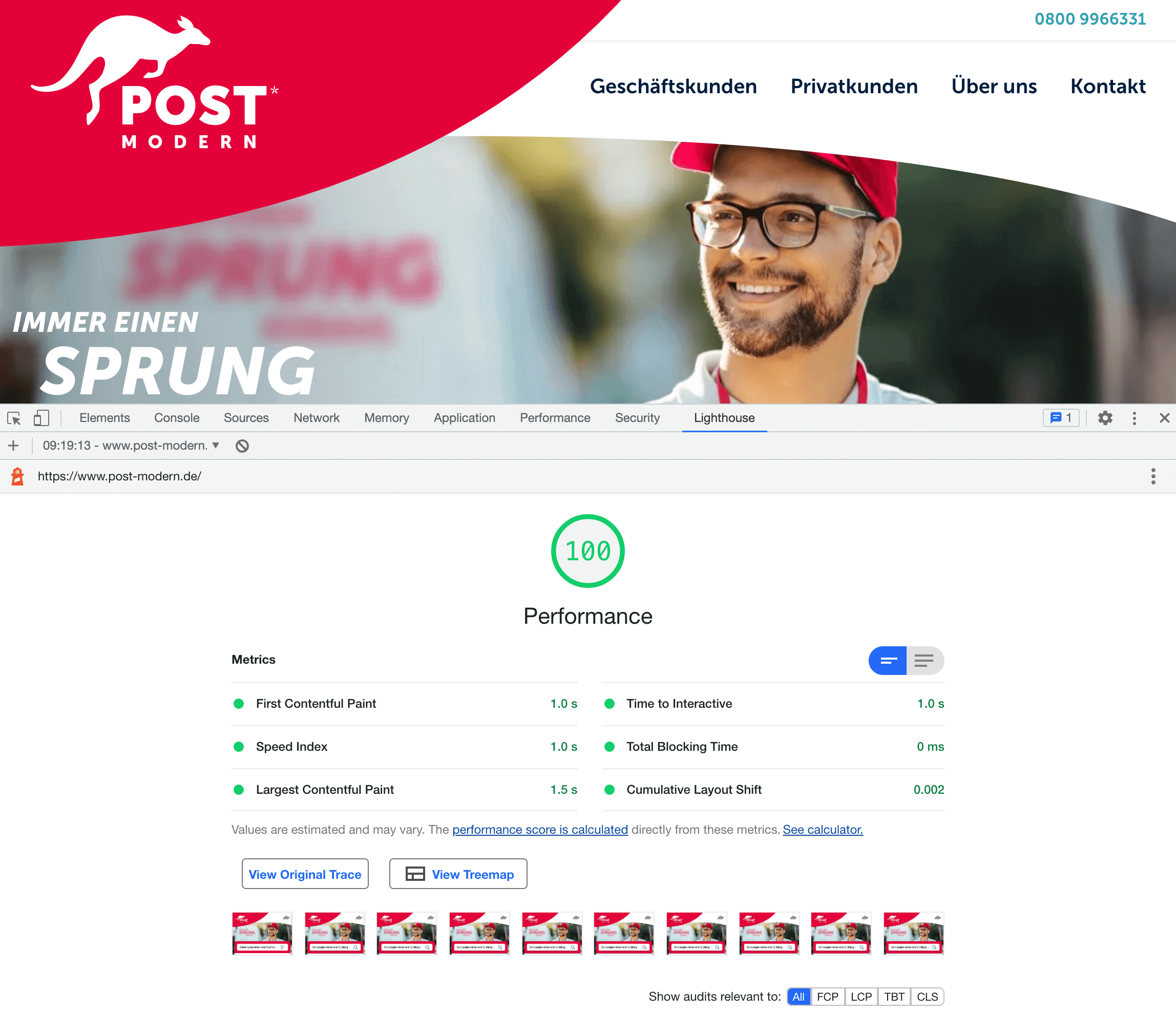 wordpress 100 pagespeed mobile punkte