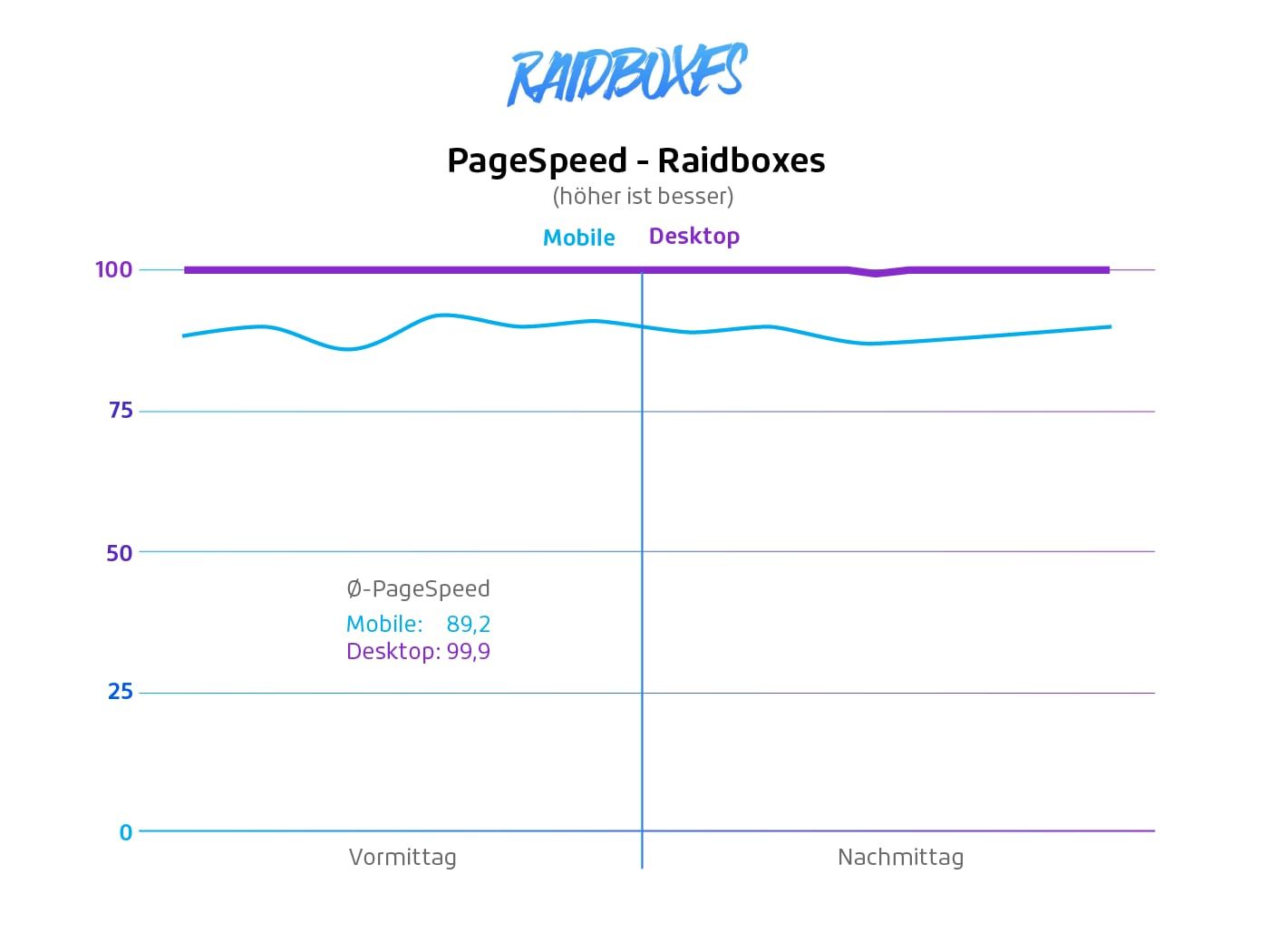 wordpress pagespeed raidboxes