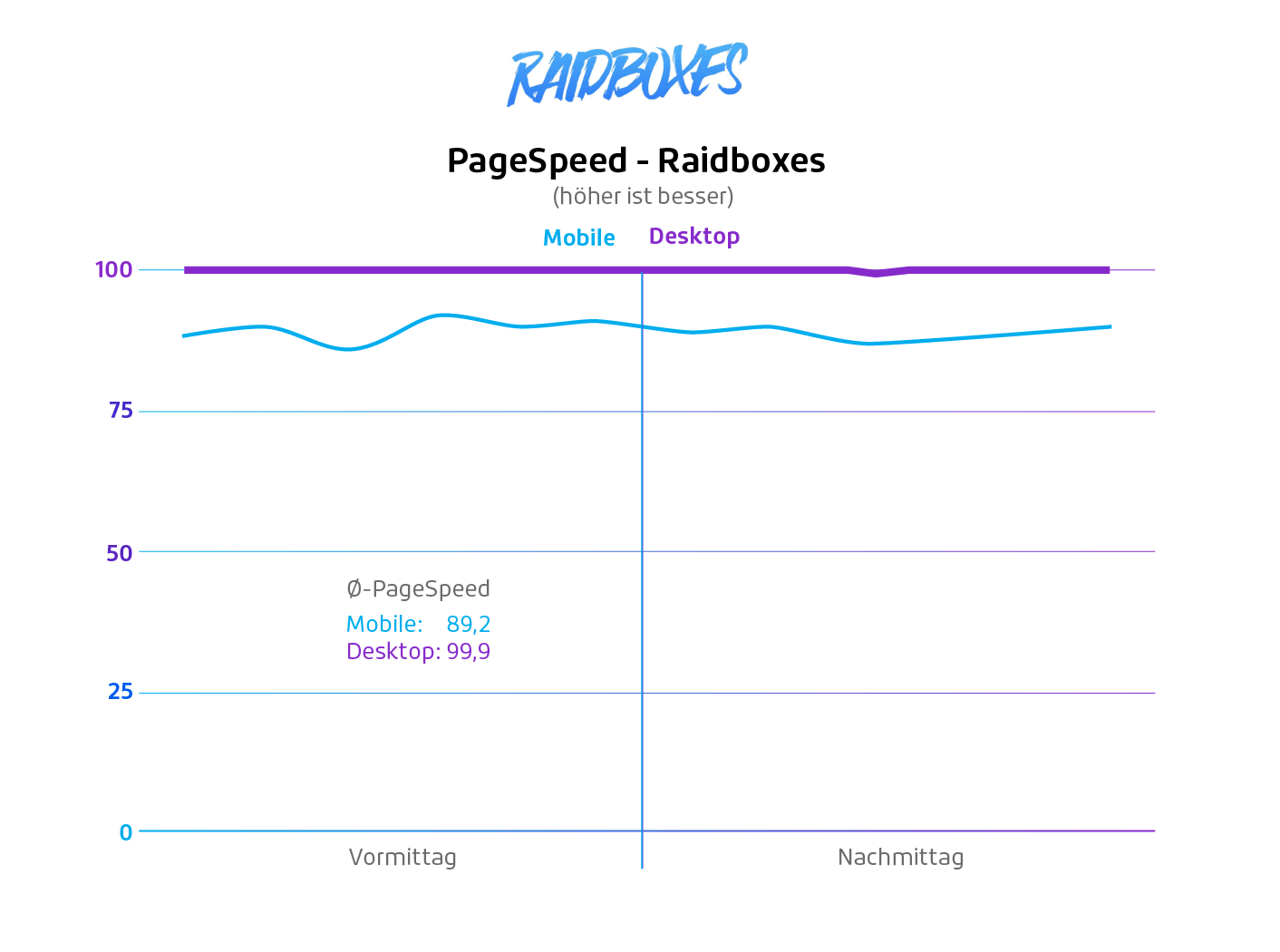 wordpress pagespeed raidboxes